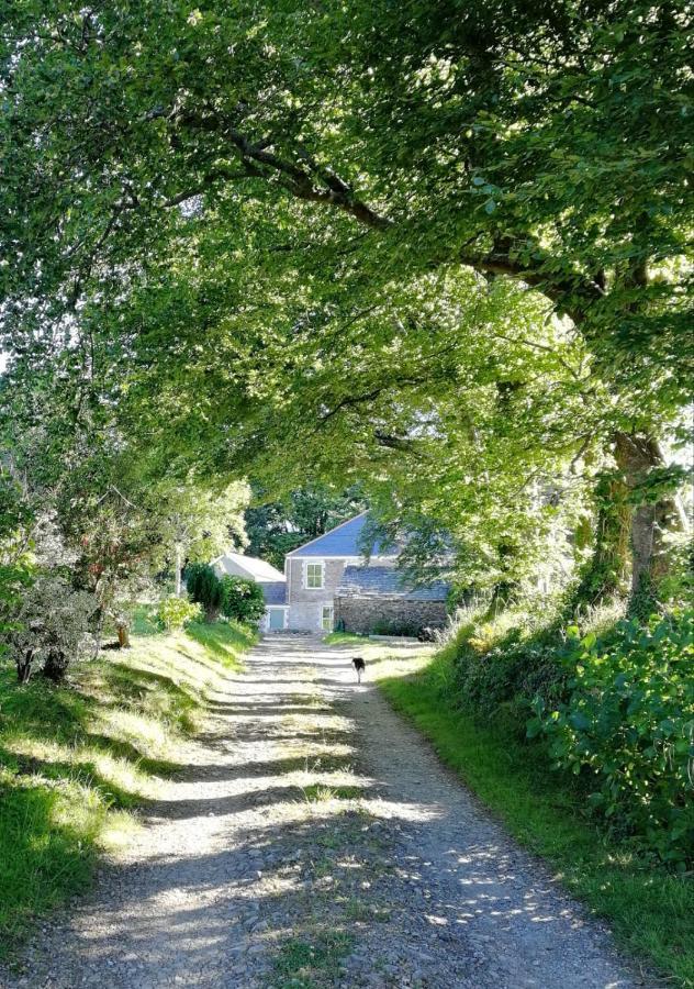 Cornwall, Looe - Magical Pendriffey Pelynt Exterior foto