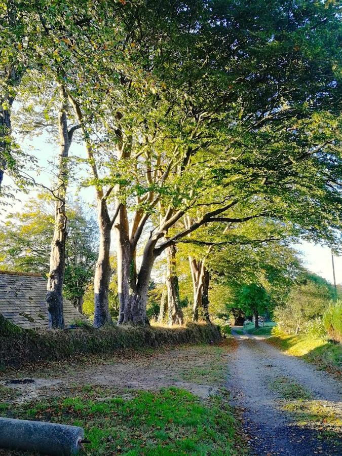 Cornwall, Looe - Magical Pendriffey Pelynt Exterior foto